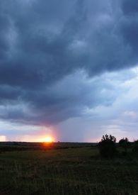 教官美女特工