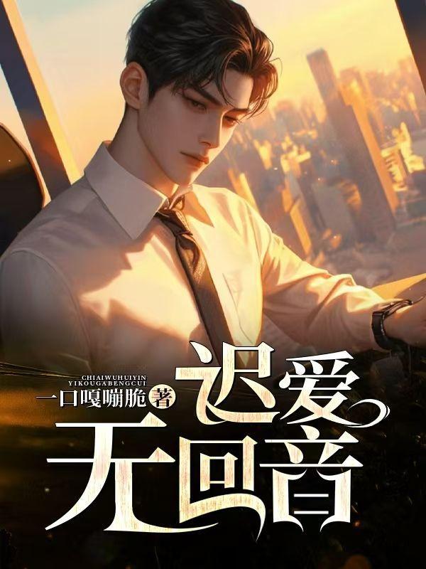 四合院傻柱的