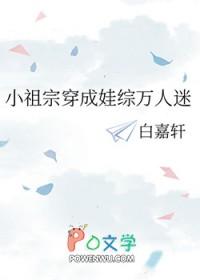 仕途无悔全集
