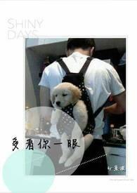 六零年代当圣母?退退退免费阅读