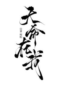 侠女们的夜宴在线观看