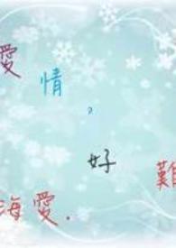 一部替妹妹上学的电视剧
