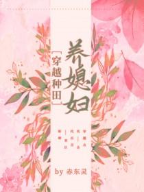 你把绝美师尊契约了无修