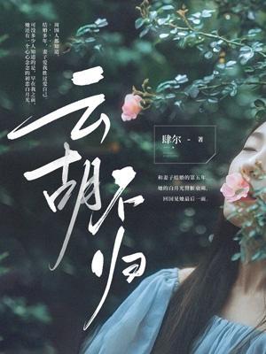 归棹电视剧在线播放免费观看完整版