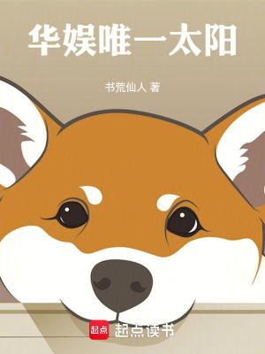 宇智波赤石之旅无错版