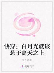 天才狂少的男妻结局