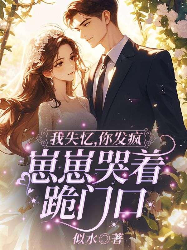 都市最豪女婿苏长分风