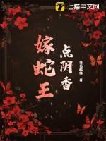 叶北辰主角
