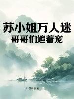 痞子村长一共多少章节