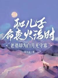 小金杯与大宝马讲的什么