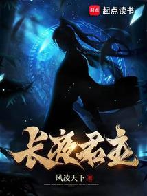 飞龙传说