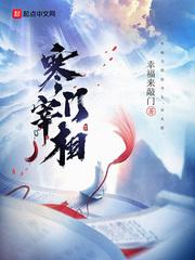 寒门宰相讲的什么