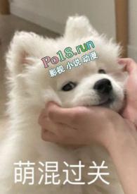 古天剑语