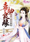 从县委书记到权力巅峰完整版