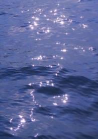 含羞草-letter battle