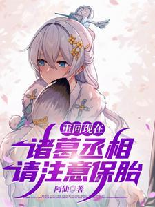 诸葛丞相