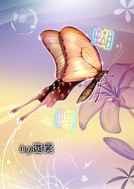 我的老婆是偶像