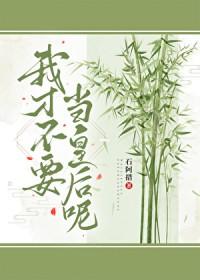 无限之山寨盗版