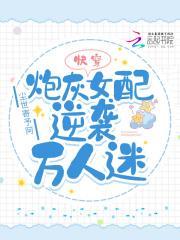(P&P)玛丽苏的共犯―傲慢与偏见同人