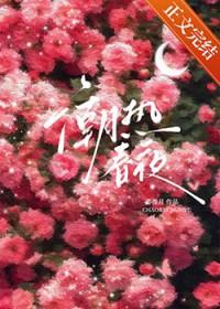 狮子驯成猫