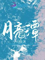 冒险者的调查日志