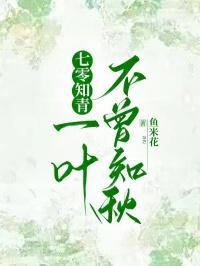 海豹崽崽的环球旅行