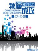 职业替身txt