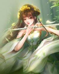 征战从海贼世界开始